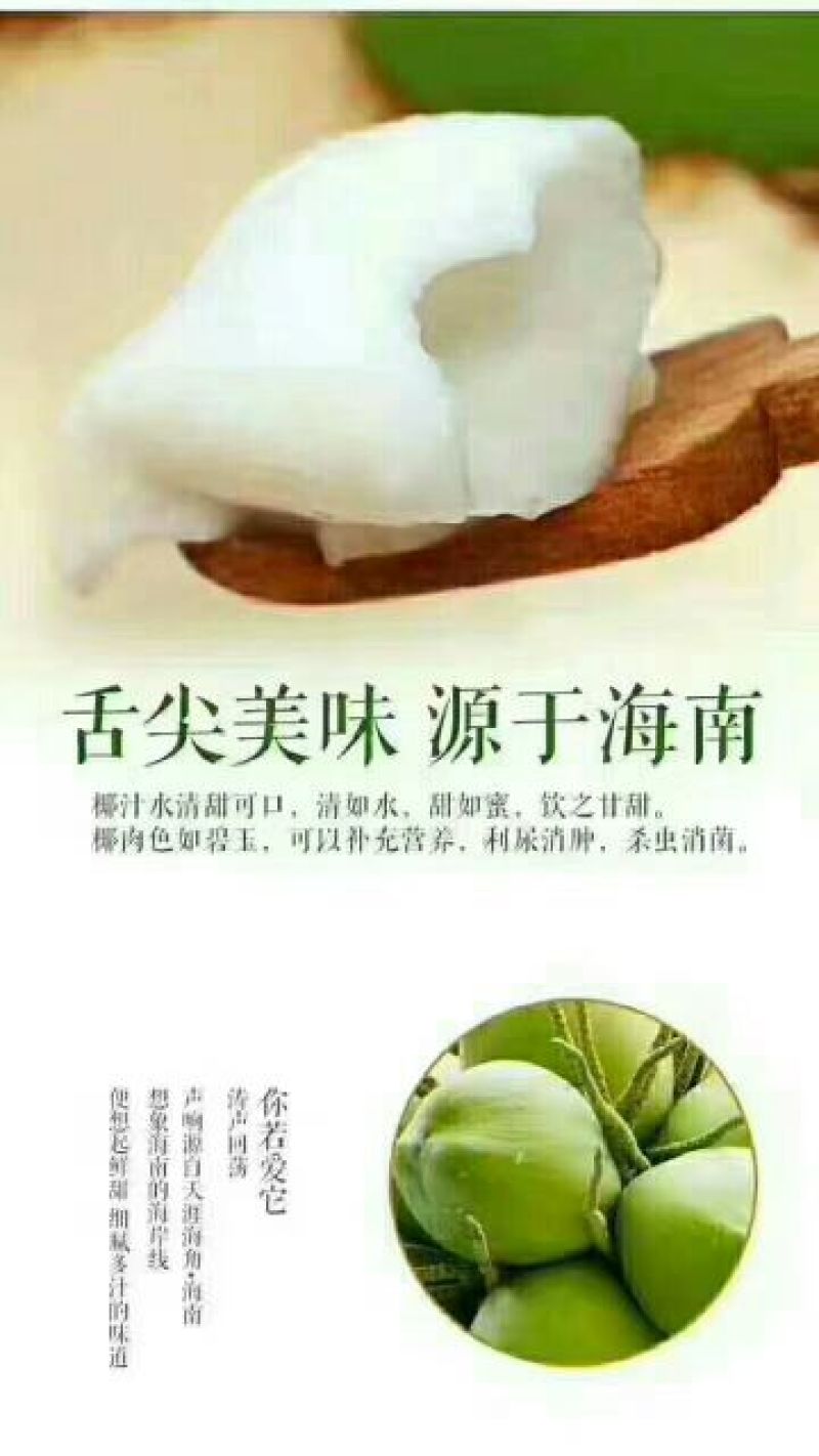 海南椰青