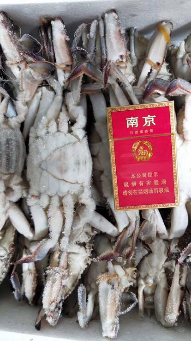 梭子蟹食用鲜货