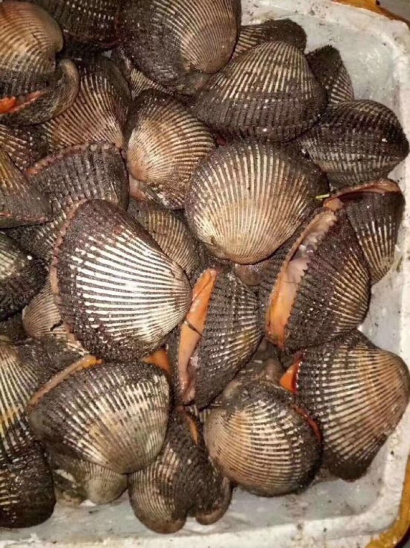 梭子蟹食用鲜货