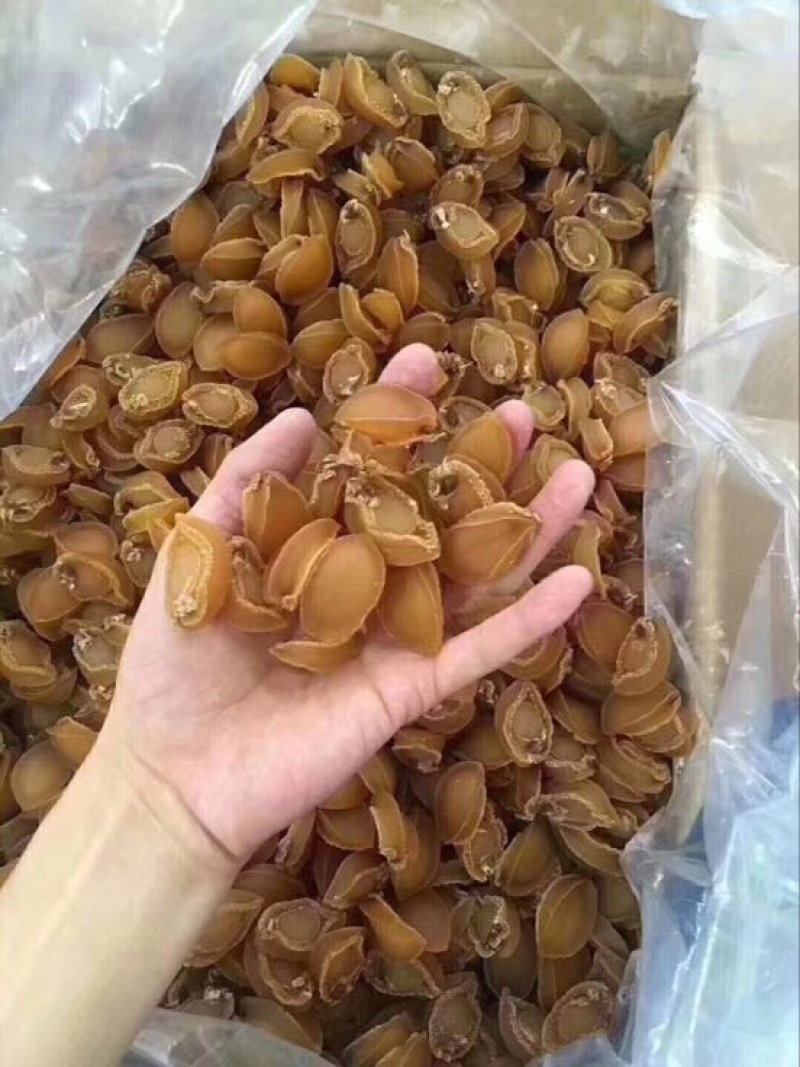 鱼干福建东山好货，鲍鱼干小头100粒左右一斤