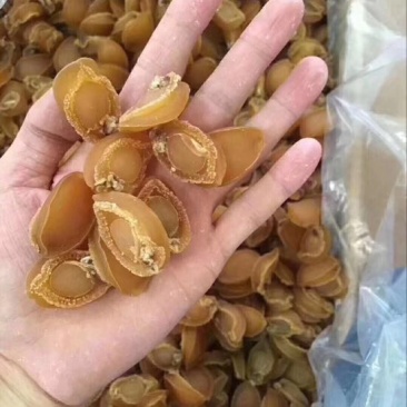 鱼干东山鲍鱼干一级货，50-60级左右一斤