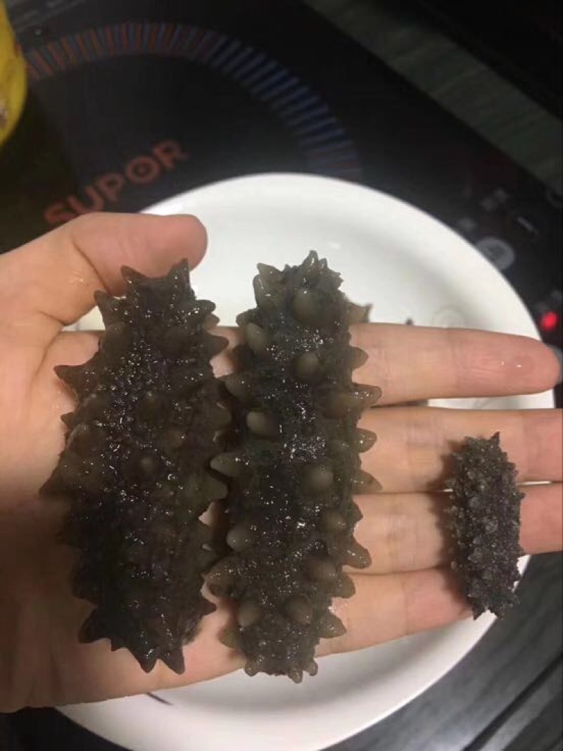 干海参东山A级海参，40个左右一斤