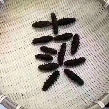 干海参东山A级海参，40个左右一斤
