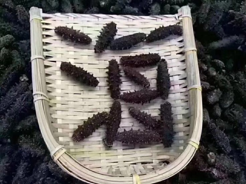 干海参东山A级海参，40个左右一斤