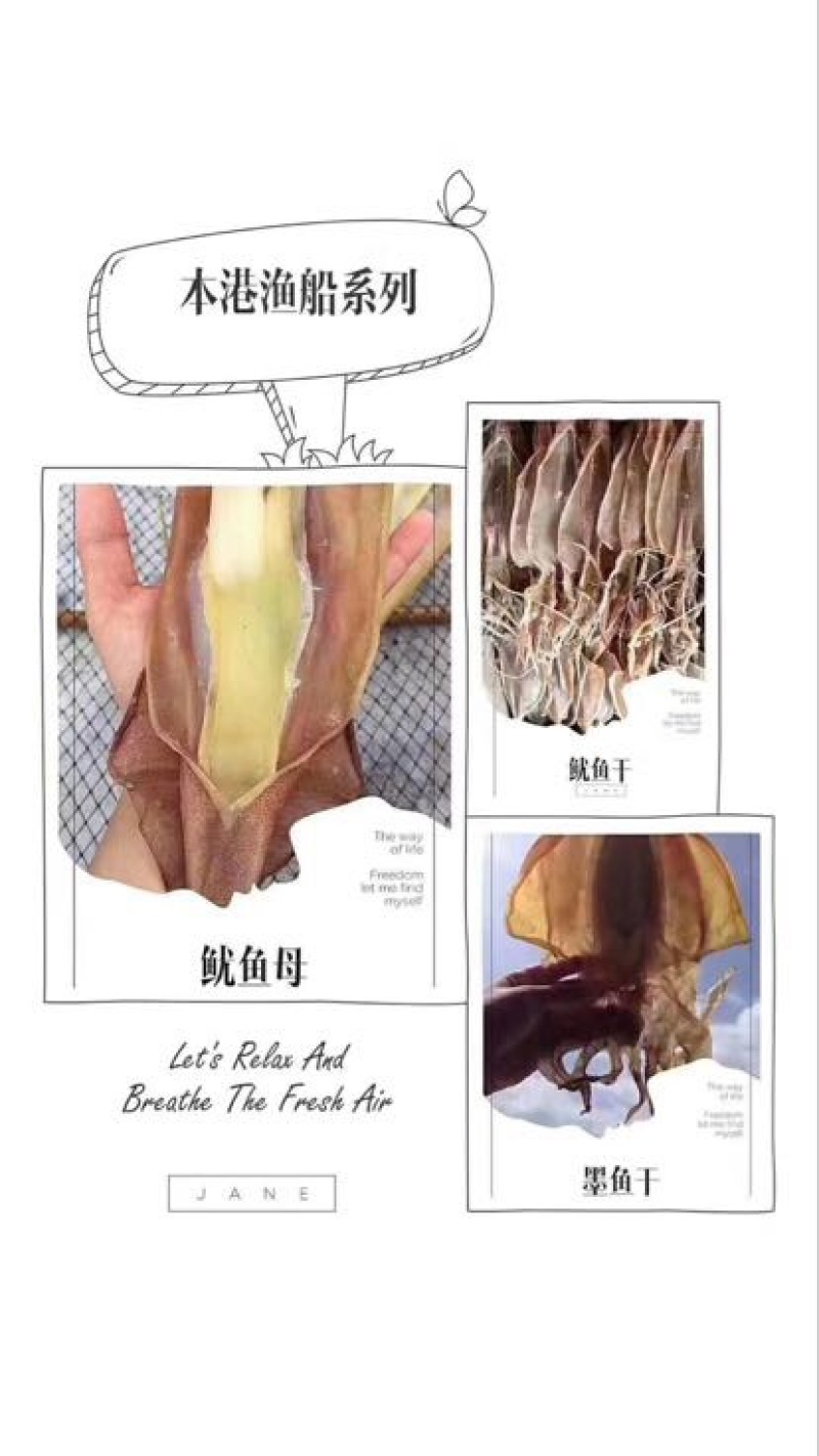 干海参东山A级海参，40个左右一斤