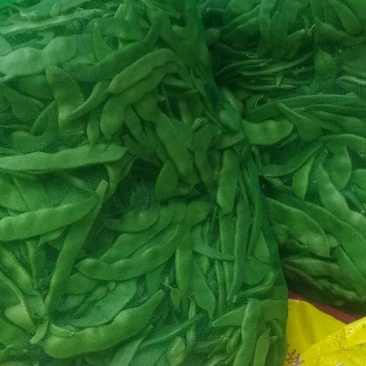 绿油豆