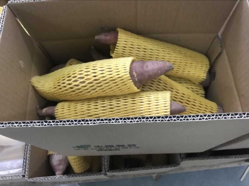 六鳌红心红薯3两以下小红薯红心