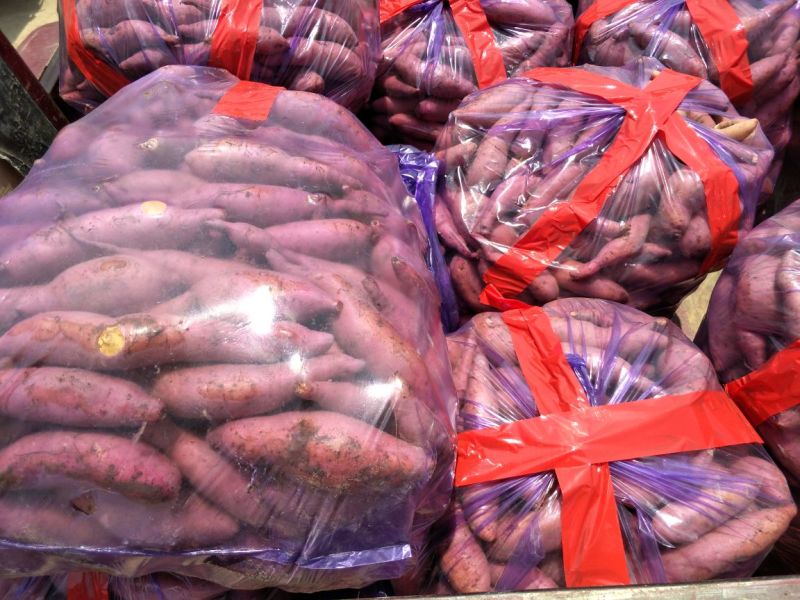 山东精品红薯济薯26万亩种植基地现挖现发品相好价格实惠