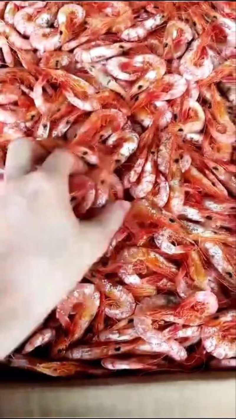 干虾东山特产对虾小只