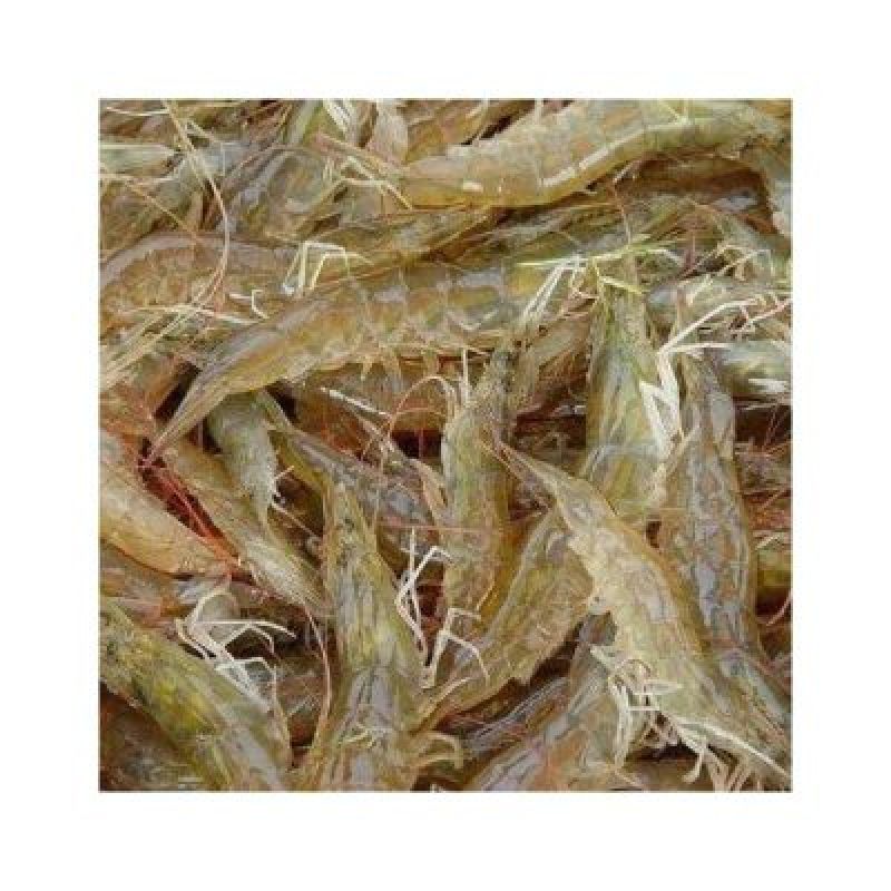 河虾批发