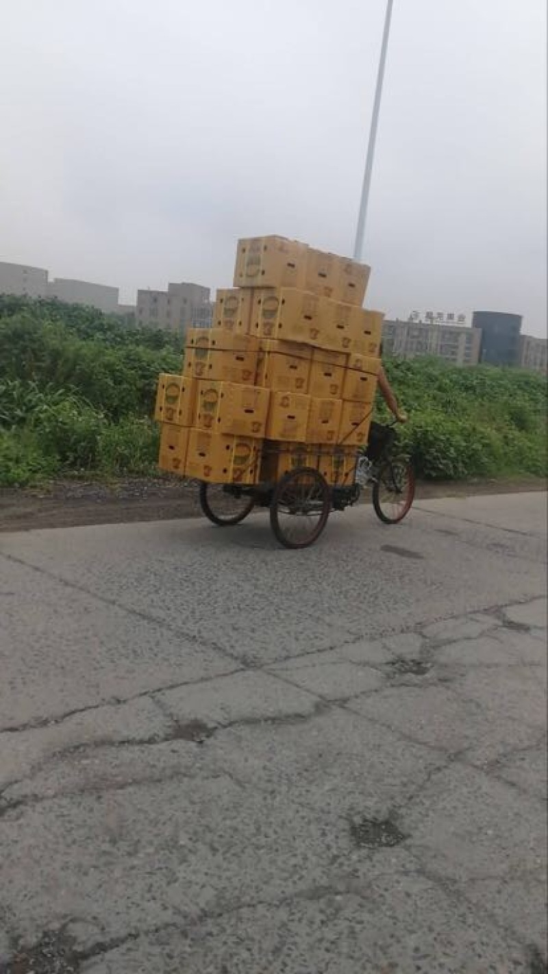 金枕头榴莲5~8斤