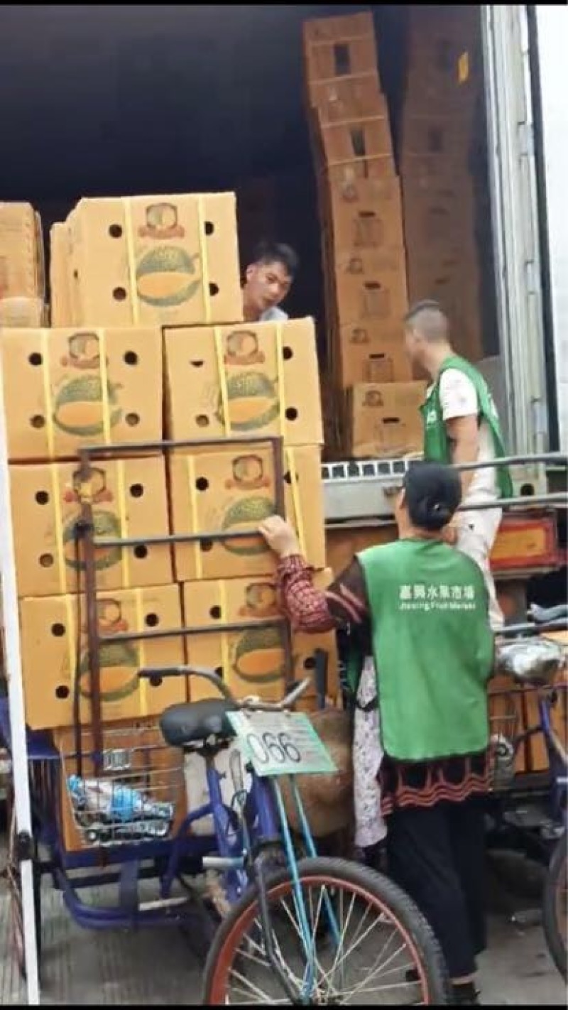 金枕头榴莲5~8斤