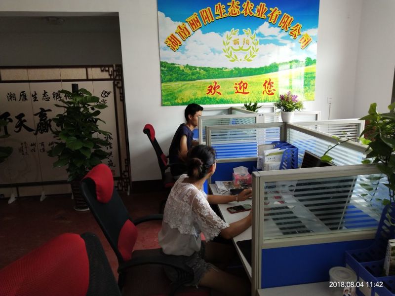 热销正宗黄毛乌鸡苗金凤乌鸡苗雪峰乌鸡苗黄毛乌骨鸡苗