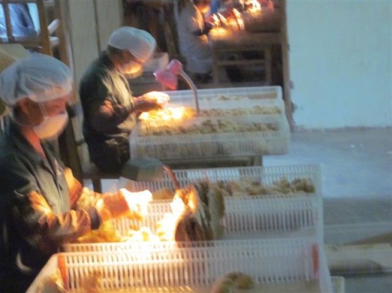 瑶鸡苗黑瑶鸡苗红瑶鸡苗血毛土鸡苗大红公鸡苗