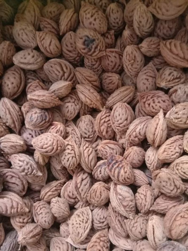 桃核
