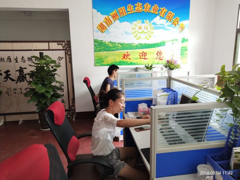 七彩鸡苗彩凤鸡苗鸡苗适合放养圈养都可以要围