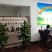 鸡苗黑乌鸡苗五黑鸡苗五黑一绿鸡苗黑乌绿壳蛋鸡