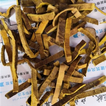 关黄柏