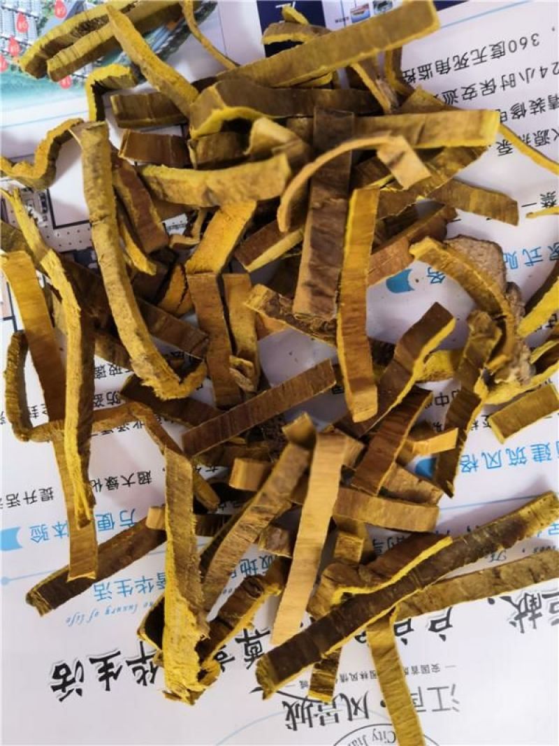 关黄柏