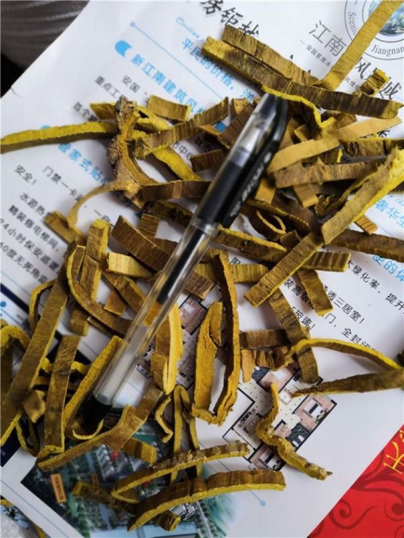 关黄柏