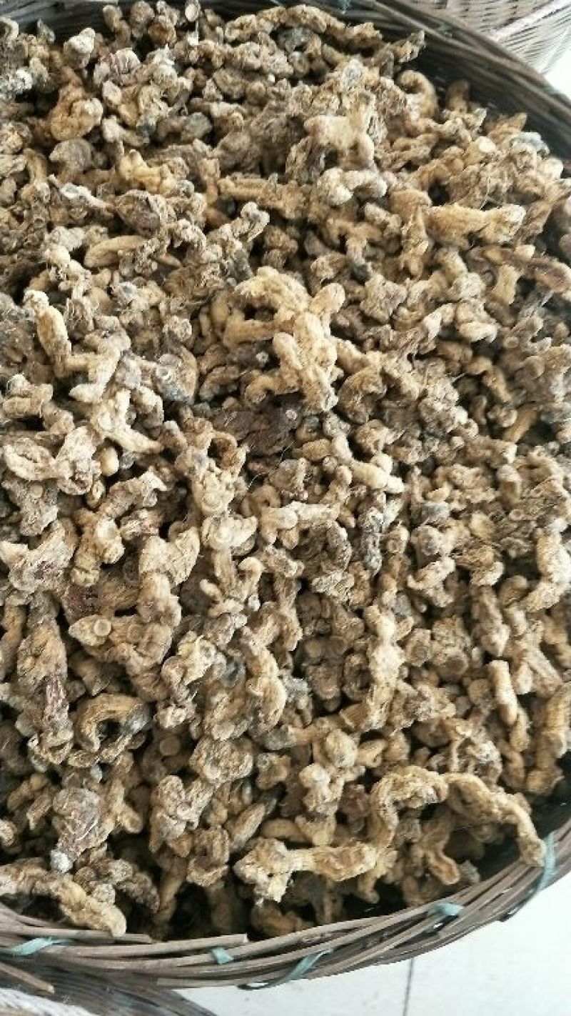 干黄精