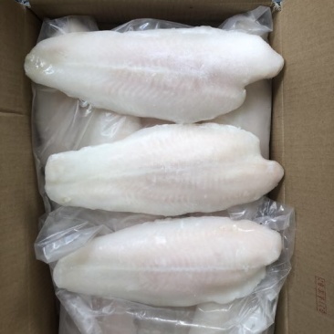 巴沙鱼