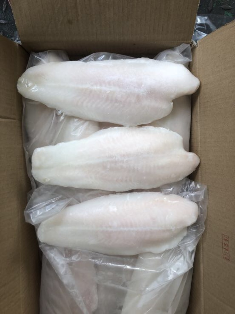 巴沙鱼