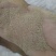 优质黄粉虫粪