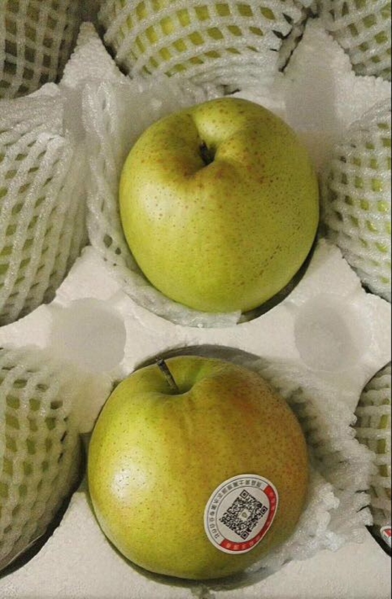 玉露香150~200g膜袋
