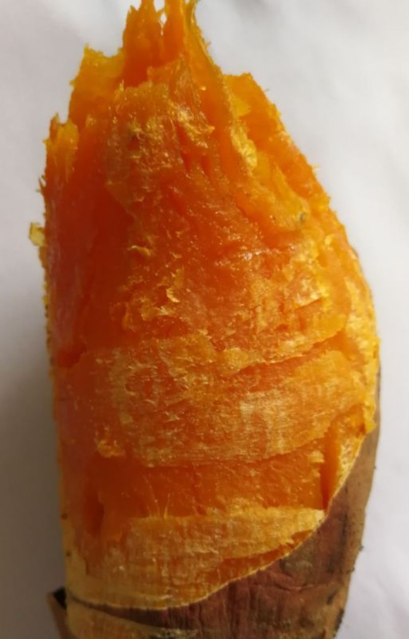 西瓜红，长条型，个头匀和，烤薯佳品，甜，糯，香，
