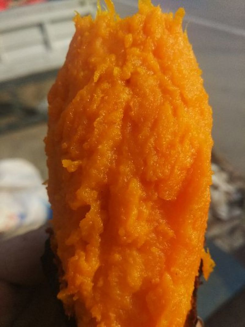 西瓜红，长条型，个头匀和，烤薯佳品，甜，糯，香，