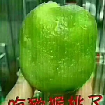 徐香猕猴桃