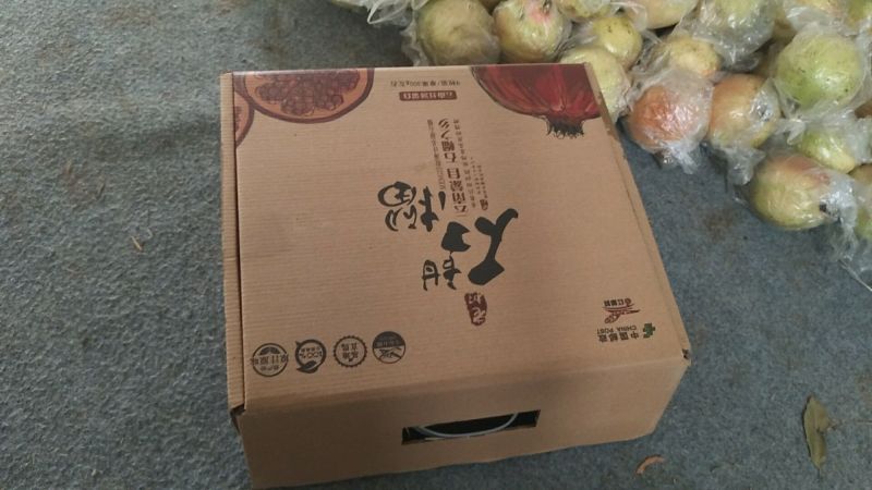 云南高原蒙自甜石榴