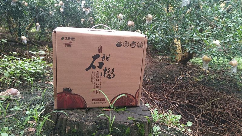 云南高原蒙自甜石榴