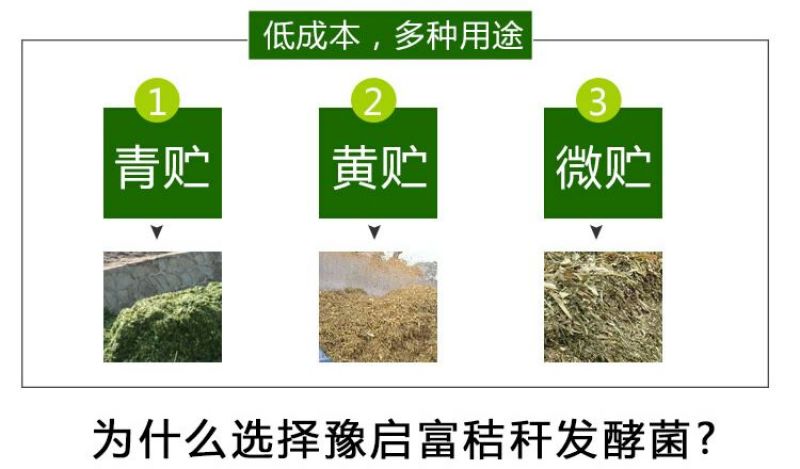 玉米秸秆发酵剂快速储存玉米秸秆养牛做饲料防止霉变