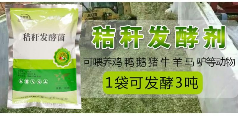 玉米秸秆发酵剂快速储存玉米秸秆养牛做饲料防止霉变