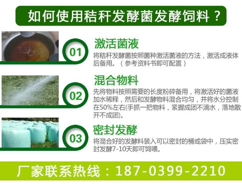 玉米秸秆发酵剂快速储存玉米秸秆养牛做饲料防止霉变