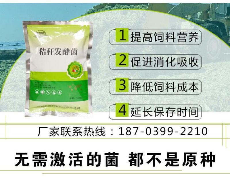 玉米秸秆发酵剂快速储存玉米秸秆养牛做饲料防止霉变