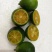金桔5~5.5cm