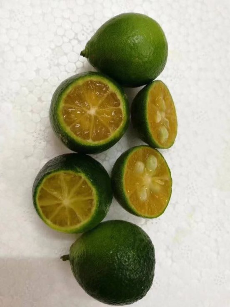 金桔5~5.5cm
