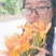 黄花菜苗萱草苗黄花菜苗观赏四季种植苗庭院阳台盆地栽南