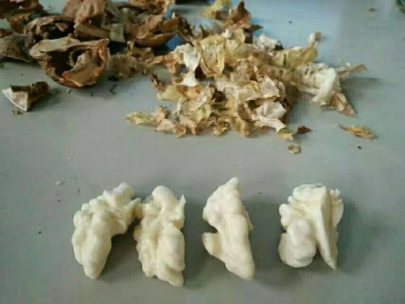 陕西新鲜核桃