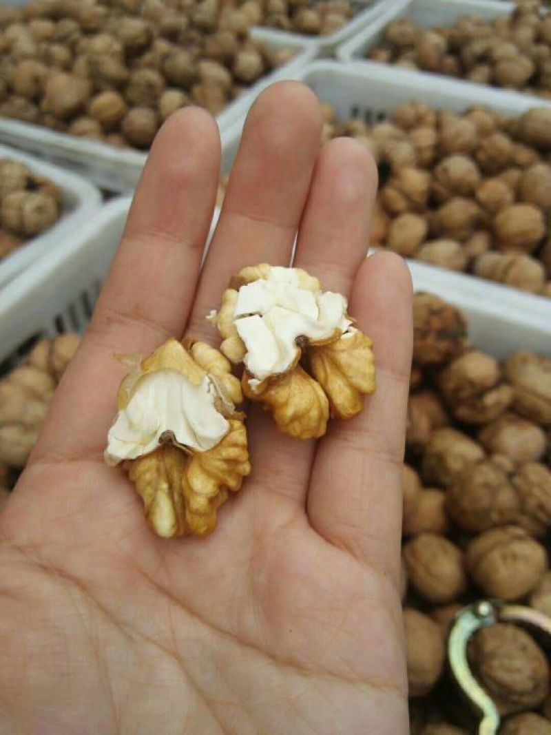 陕西新鲜核桃