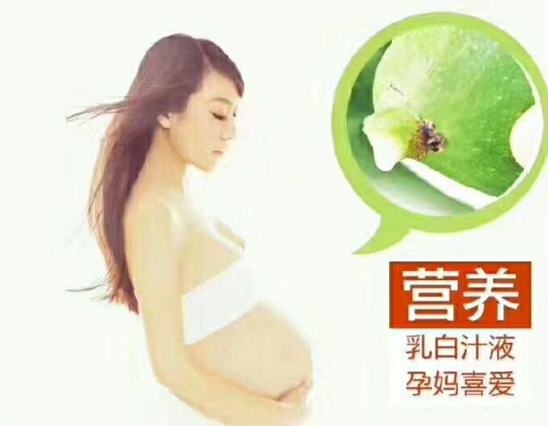 新鲜无花果