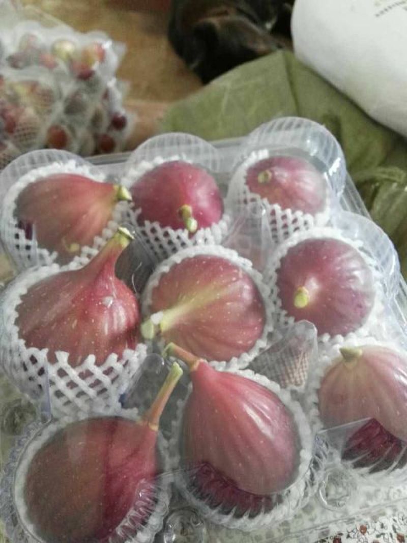 新鲜无花果