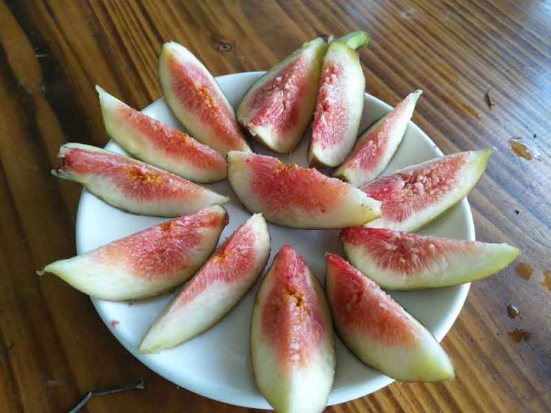 新鲜无花果