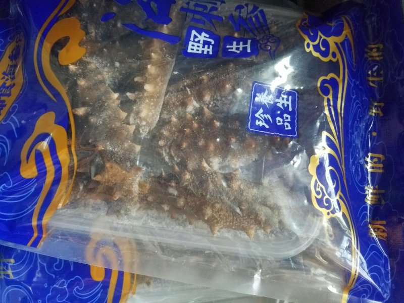 拉缸盐海参😀即时海参，即时鲍鱼