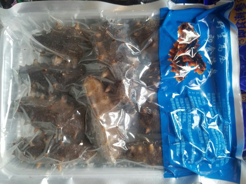 拉缸盐海参😀即时海参，即时鲍鱼