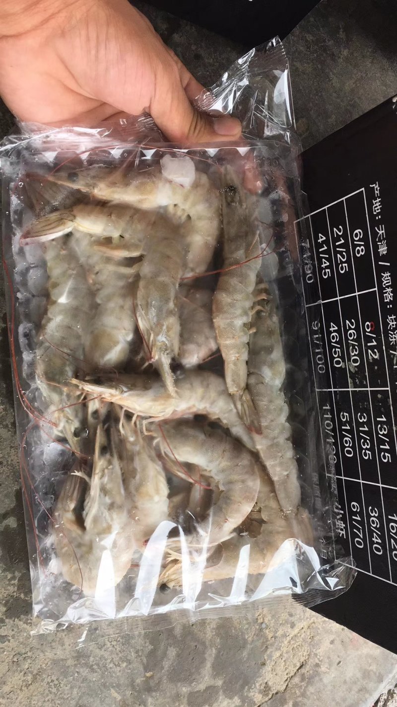 南美白对虾
