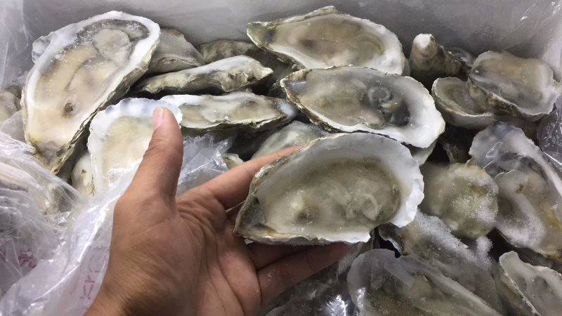 南美白对虾